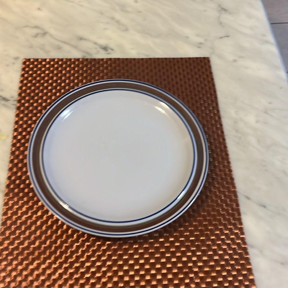 Salem stoneware 10 Inch  dinner plate Firm price